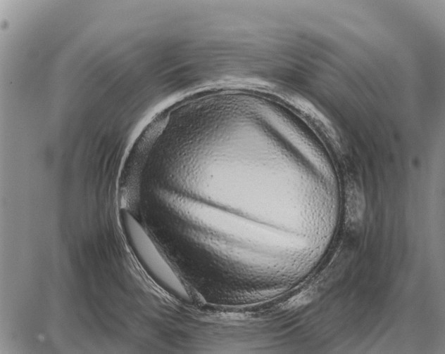 X0000087691280200705181745