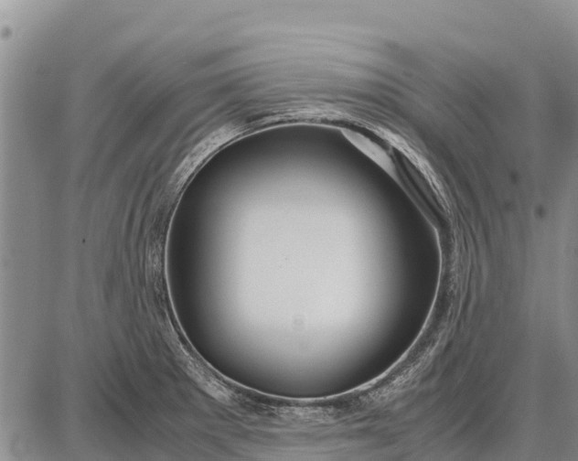 X0000087691281200705181745