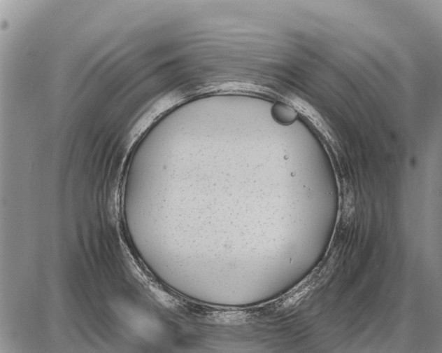 X0000087691282200705181745