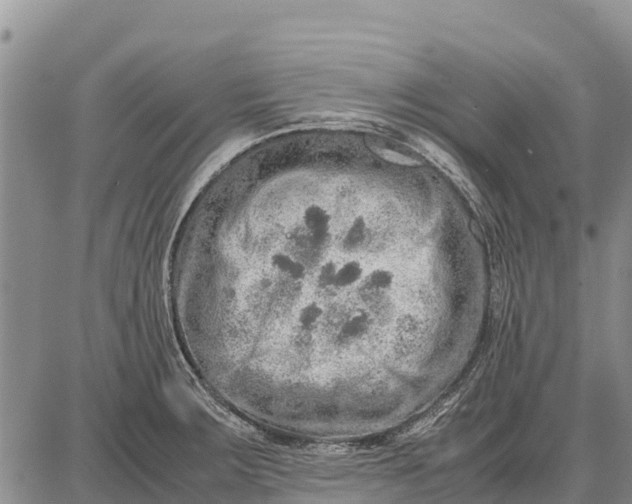 X0000087691283200705181745