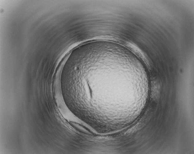 X0000087691284200705181745