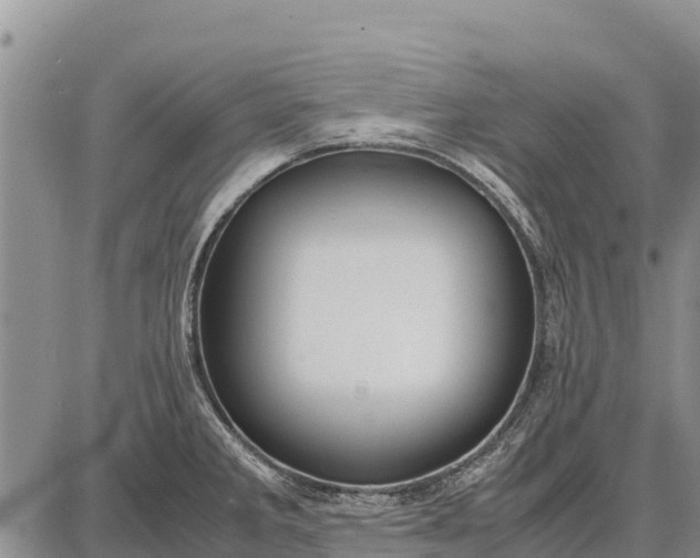 X0000087691285200705181745