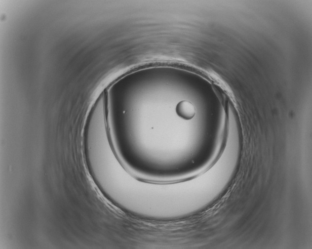 X0000087691287200705181745