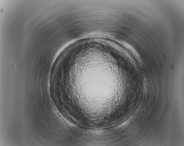 X0000087691288200705181745