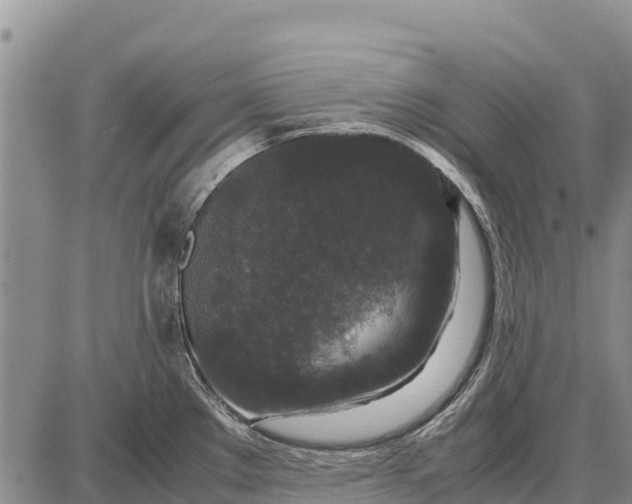 X0000087691289200705181745