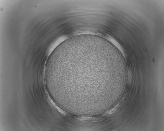 X0000087691290200705181745