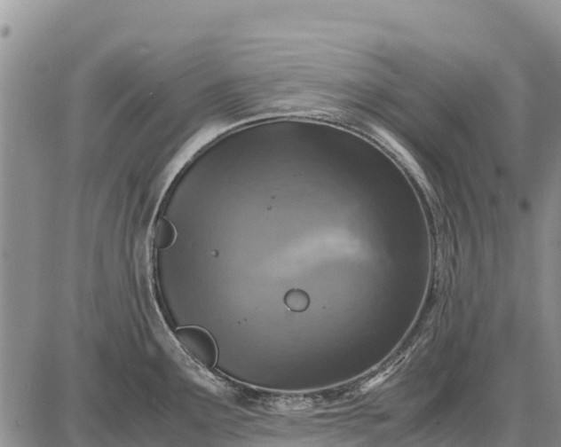 X0000087691291200705181745