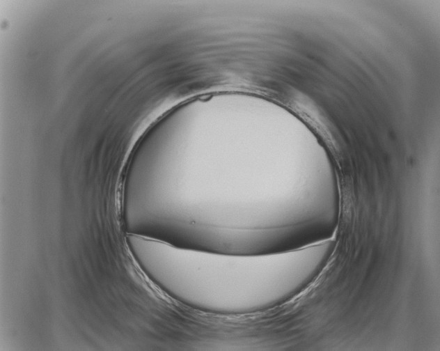 X0000087691292200705181745