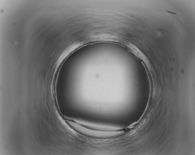 X0000087691293200705181745