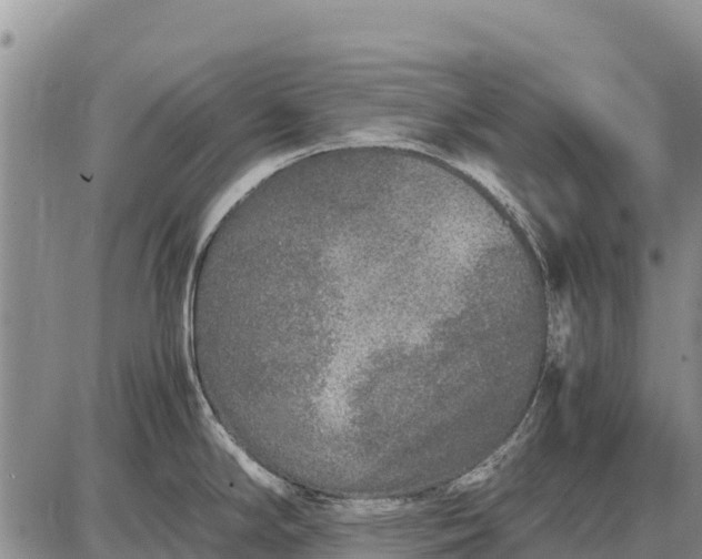 X0000087691294200705181745