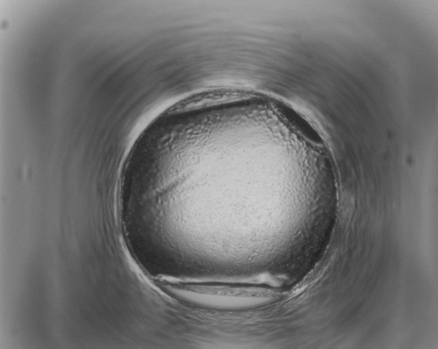 X0000087691295200705181745