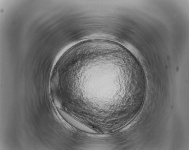 X0000087691296200705181745