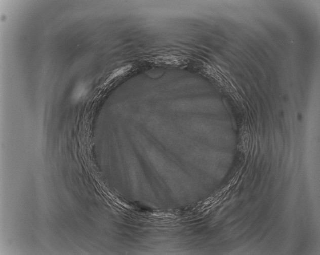 X0000087691297200705181744