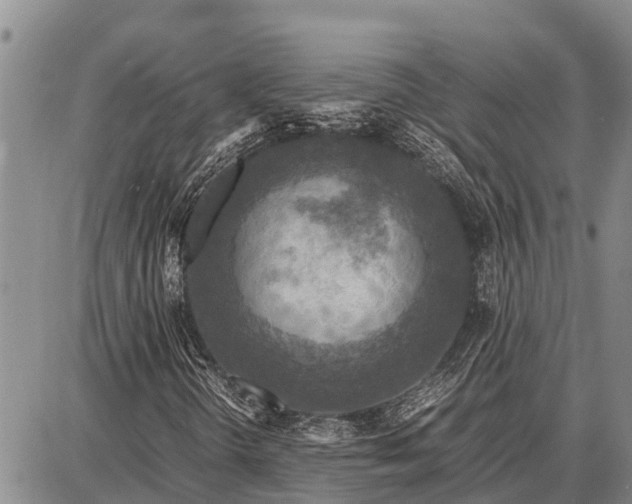 X0000087691298200705181744