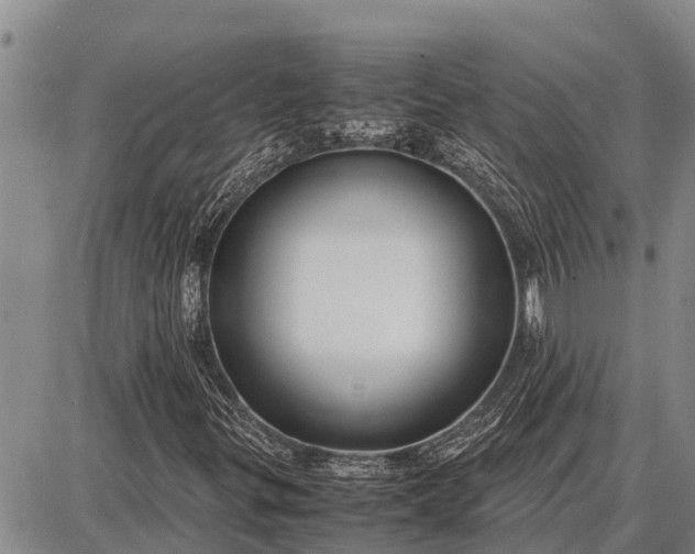 X0000087691299200705181744