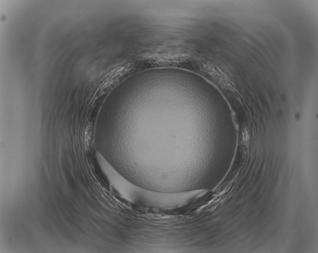 X0000087691300200705181744