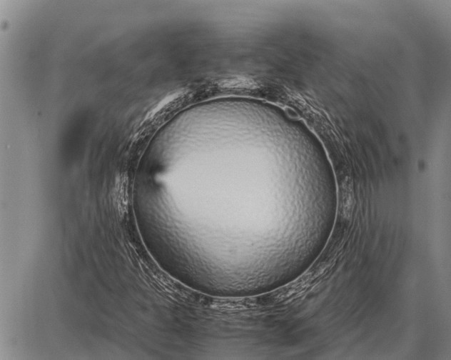 X0000087691301200705181744