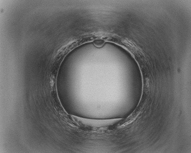 X0000087691302200705181744