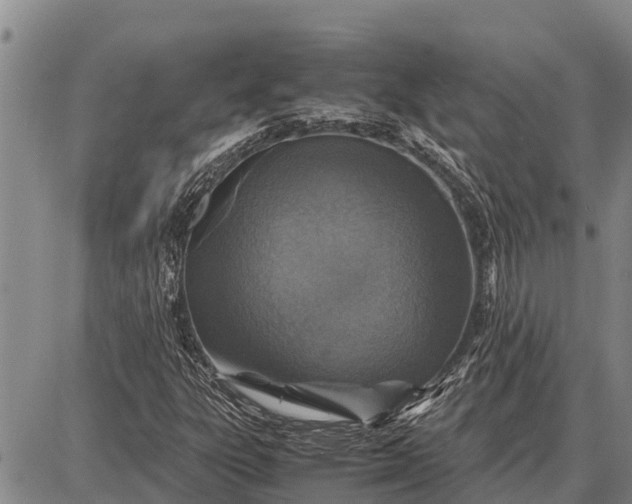 X0000087691303200705181744