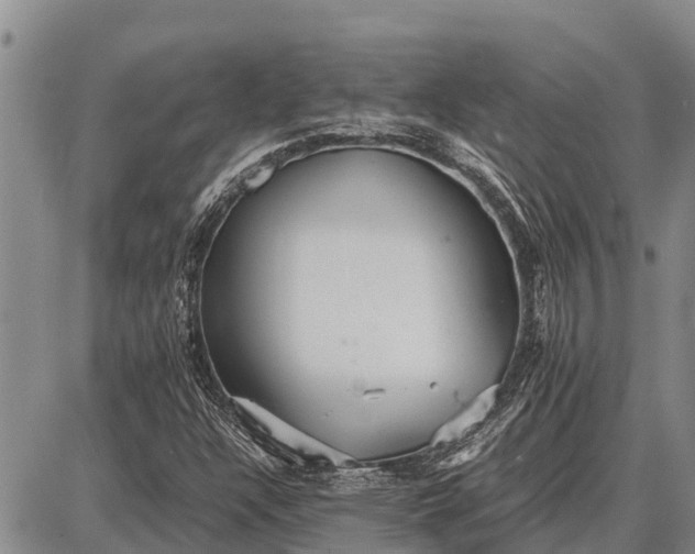 X0000087691304200705181744