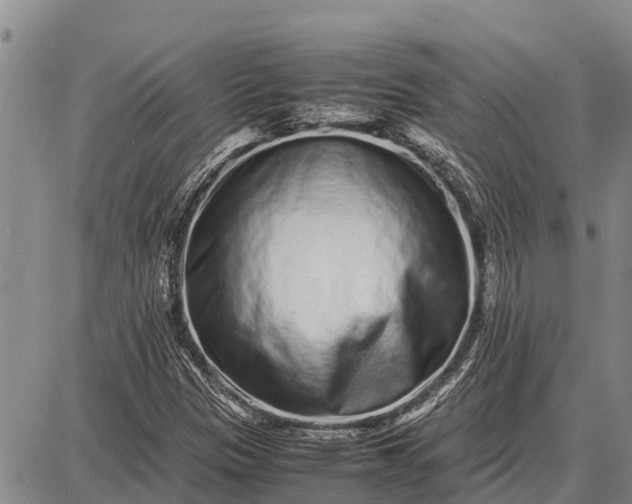 X0000087691305200705181744