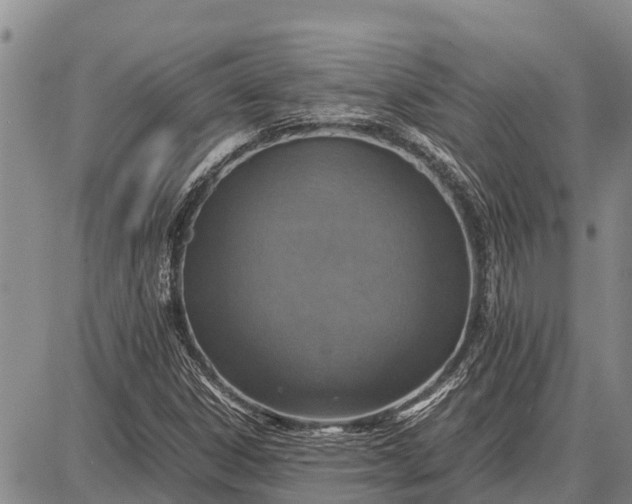 X0000087691306200705181744