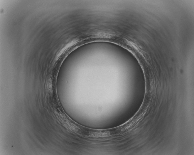 X0000087691307200705181744