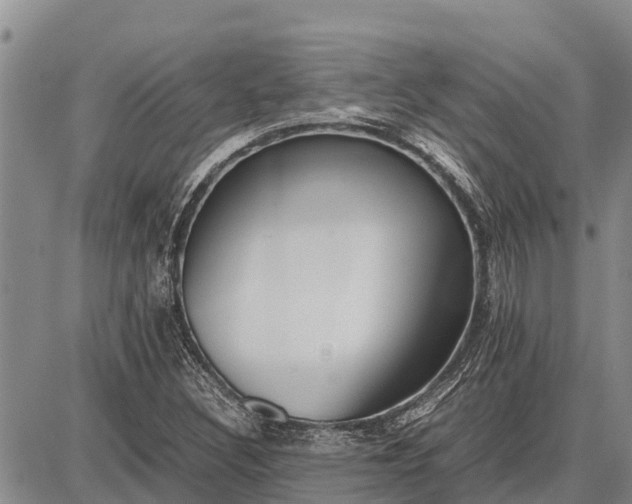 X0000087691308200705181744