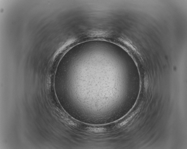 X0000087691309200705181745