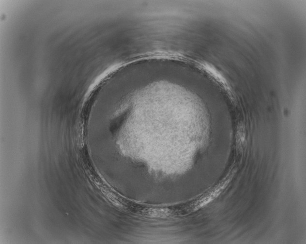 X0000087691310200705181745