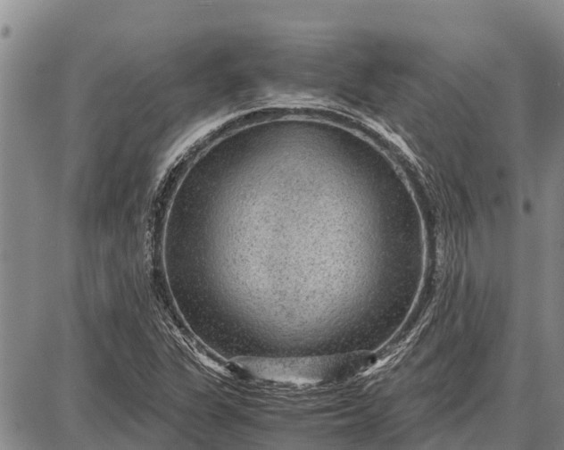 X0000087691311200705181745