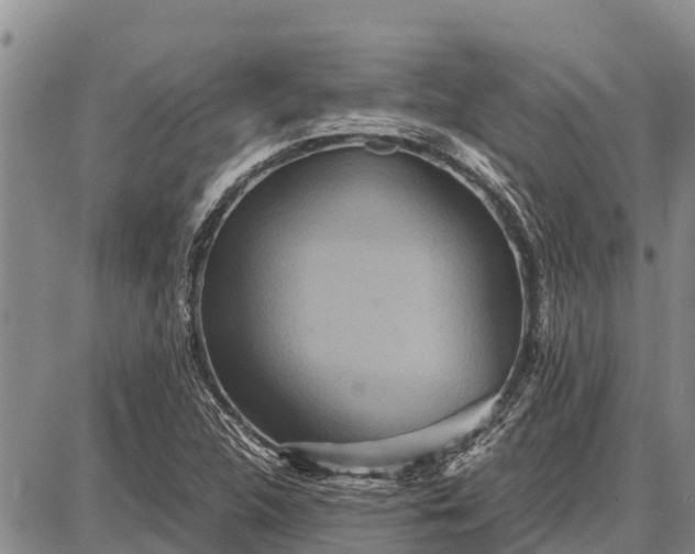 X0000087691312200705181745