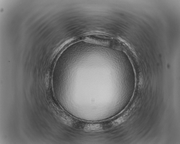 X0000087691313200705181745