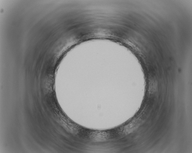 X0000087691314200705181745