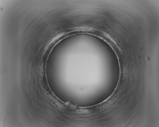 X0000087691315200705181745