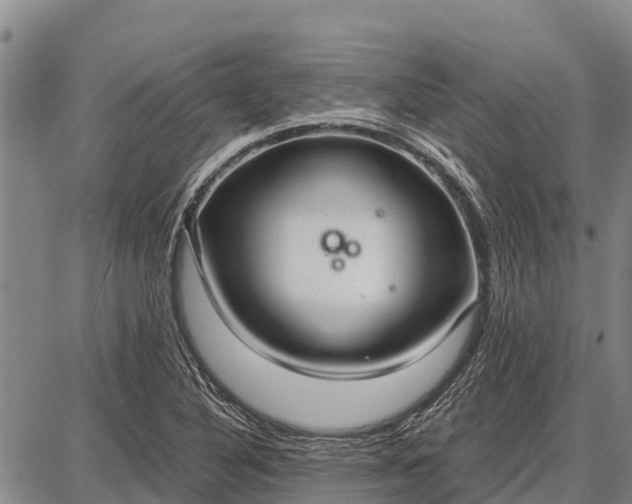 X0000087691316200705181745