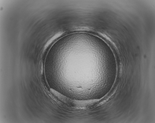 X0000087691317200705181745