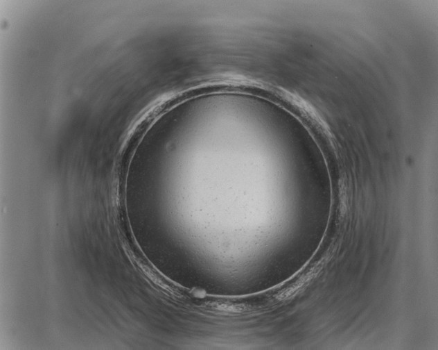 X0000087691318200705181745