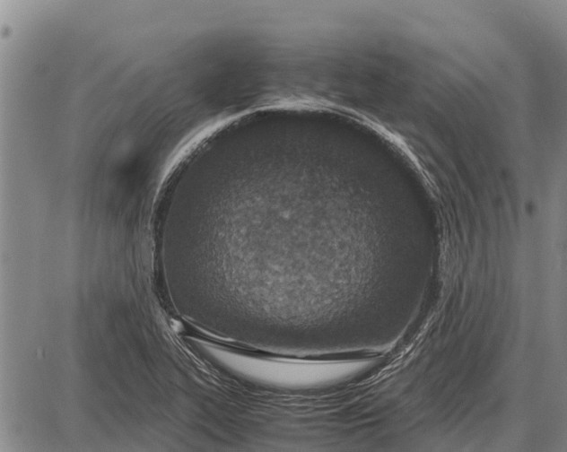 X0000087691319200705181745