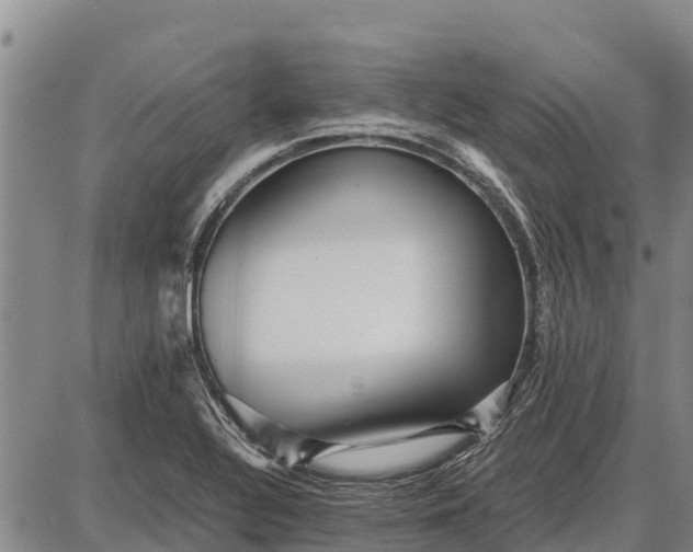 X0000087691320200705181745