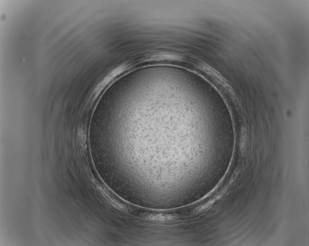 X0000087691321200705181745