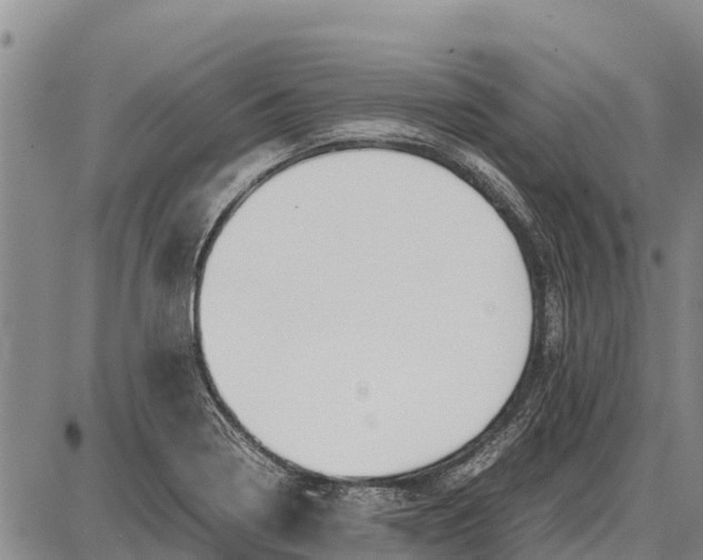 X0000087691322200705181745