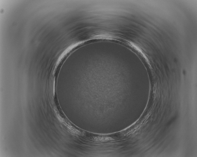 X0000087691323200705181745