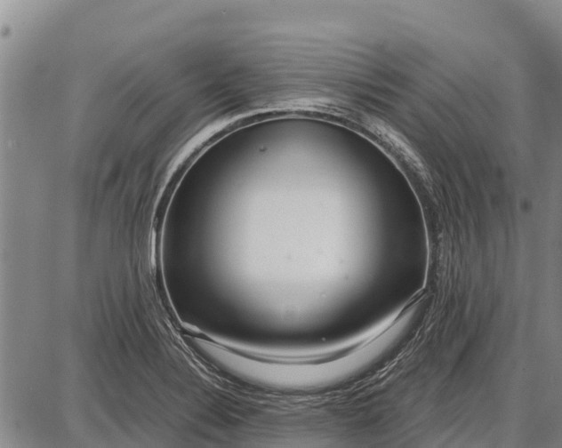 X0000087691324200705181745