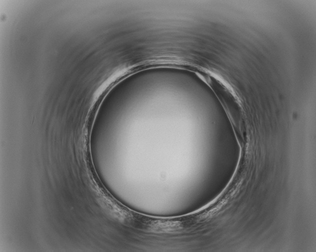 X0000087691325200705181745