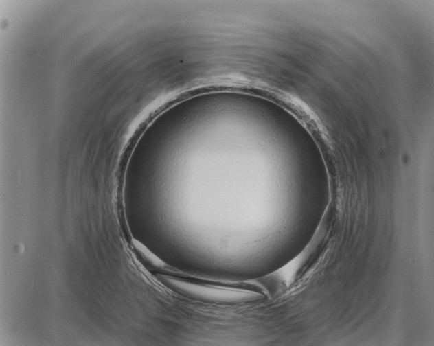 X0000087691326200705181745