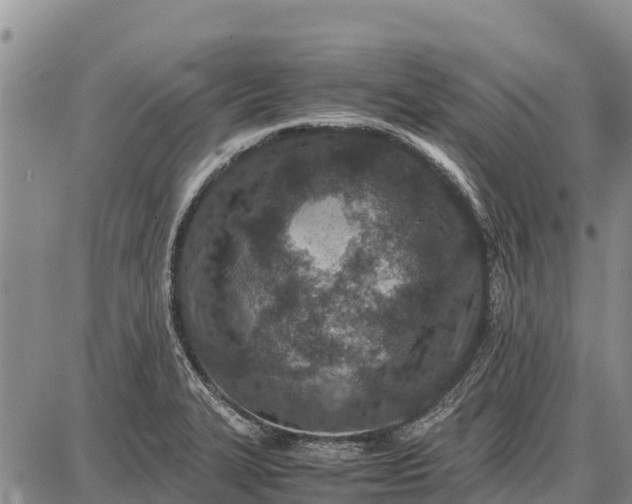 X0000087691327200705181745