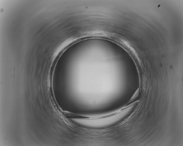 X0000087691328200705181745