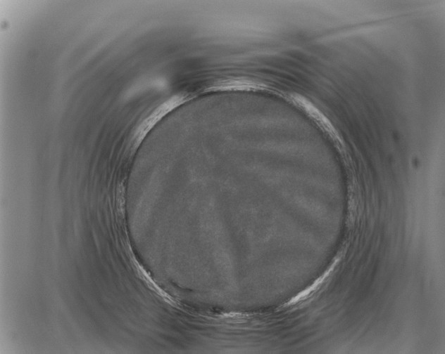 X0000087691329200705181745