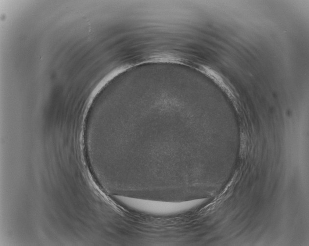 X0000087691331200705181745